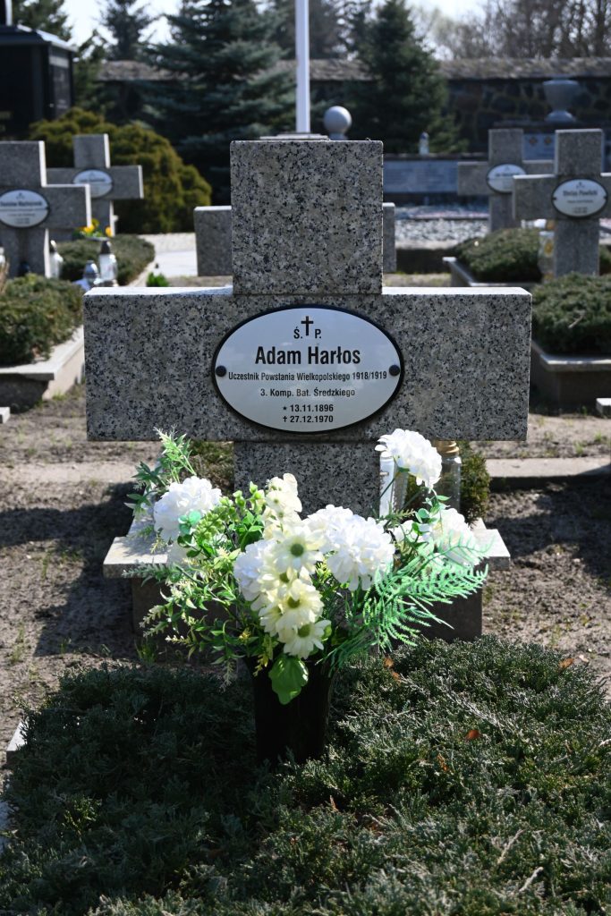 Krzyż z tabliczką imienia i nazwiska powstańca Adama Harłosa z białymi kwiatami na kwaterze powstańców w Środzie Wielkopolskiej.