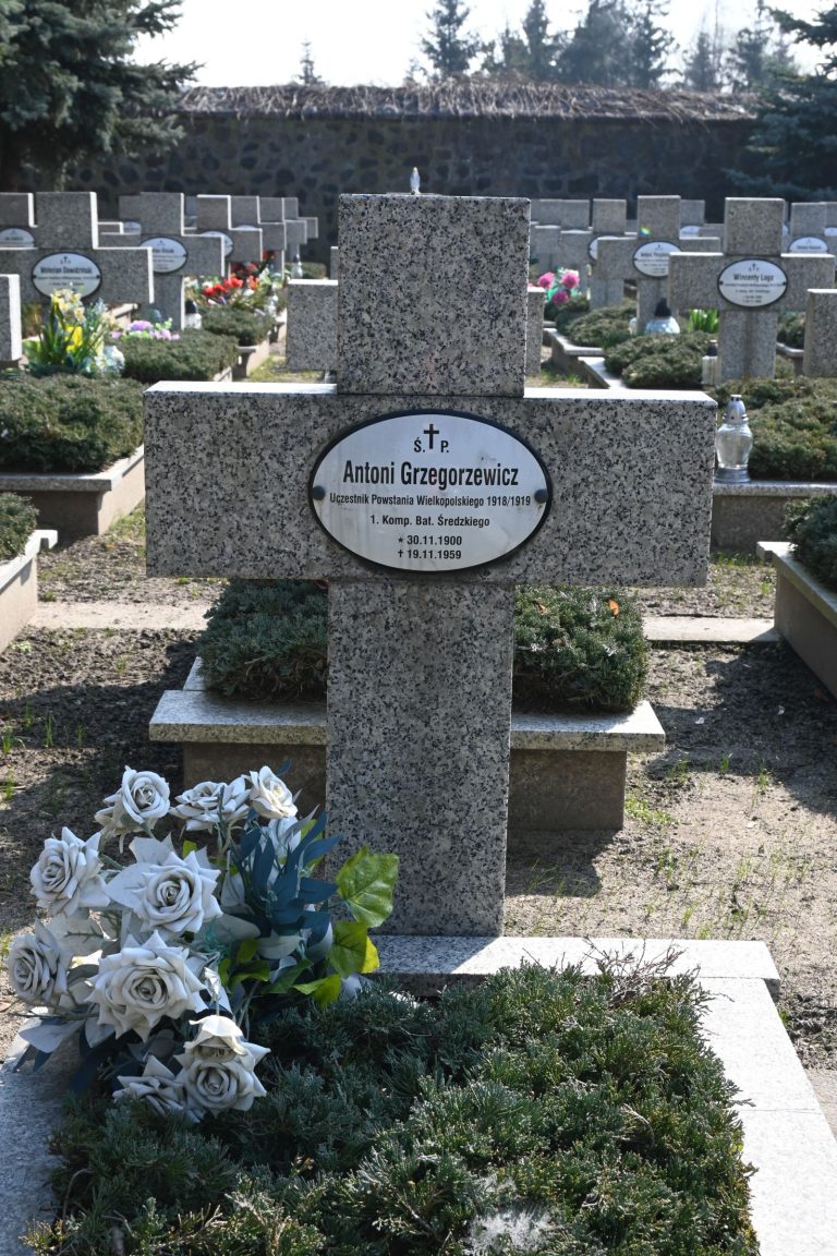 Kamienny krzyż nagrobny z owalną tabliczką „Antoni Grzegorzewicz”; przed krzyżem bukiet białych róż i zielonych liści na jałowcu, w tle rzędy grobów i kamienny mur.
