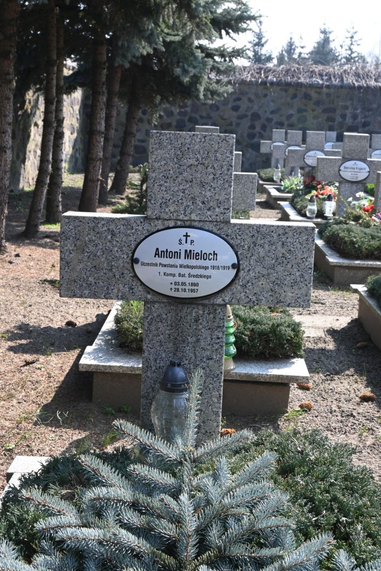 Kamienny krzyż nagrobny z owalną tabliczką „Antoni Mieloch”; przed krzyżem gałąź świerku i czarny lampion, w tle kamienny mur i drzewa.
