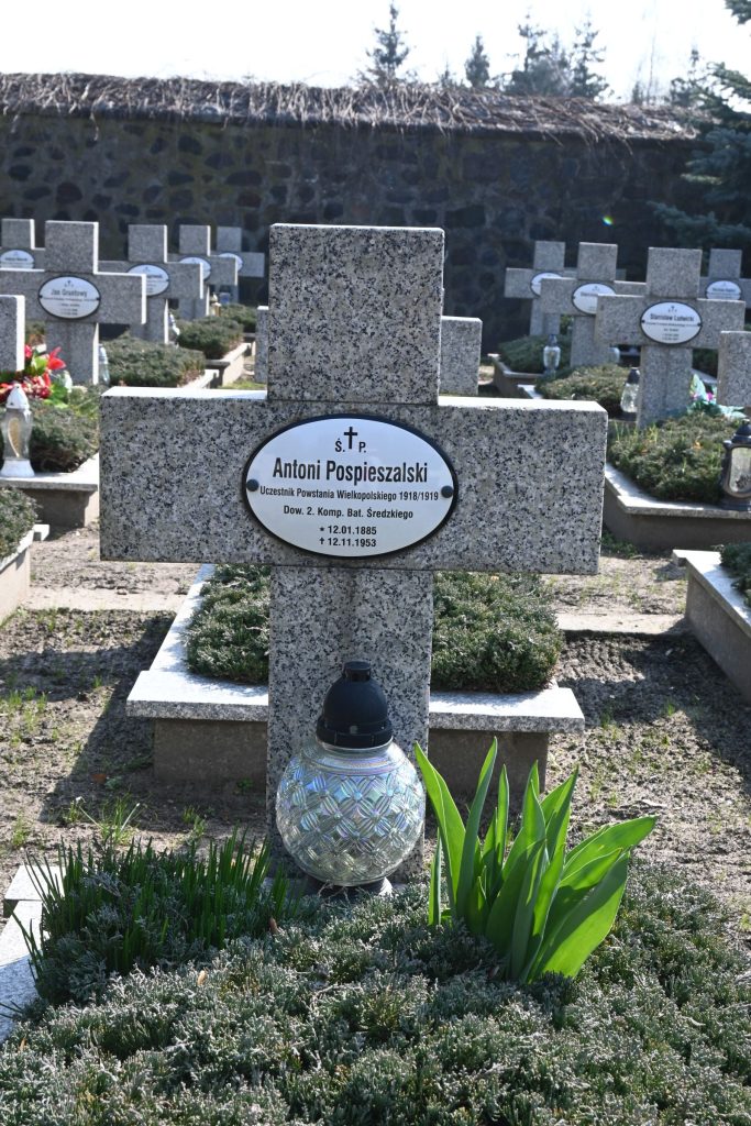 Kamienny krzyż nagrobny z owalną tabliczką „Antoni Pospieszalski”; przed krzyżem duży kulisty szklany znicz i zielone liście, w tle rzędy krzyży i kamienny mur.