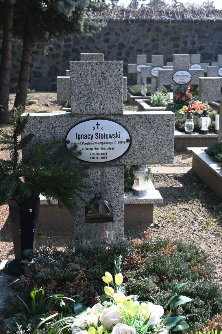 Kamienny krzyż nagrobny z owalną tabliczką "Ignacy Stolowski"; u stóp gęsty jałowiec i bukiet biało-zielonych kwiatów z Żółtymi margaretkami, obok zielona paproć, w tle rzęd granitowych nagrobków i kamienny mur.