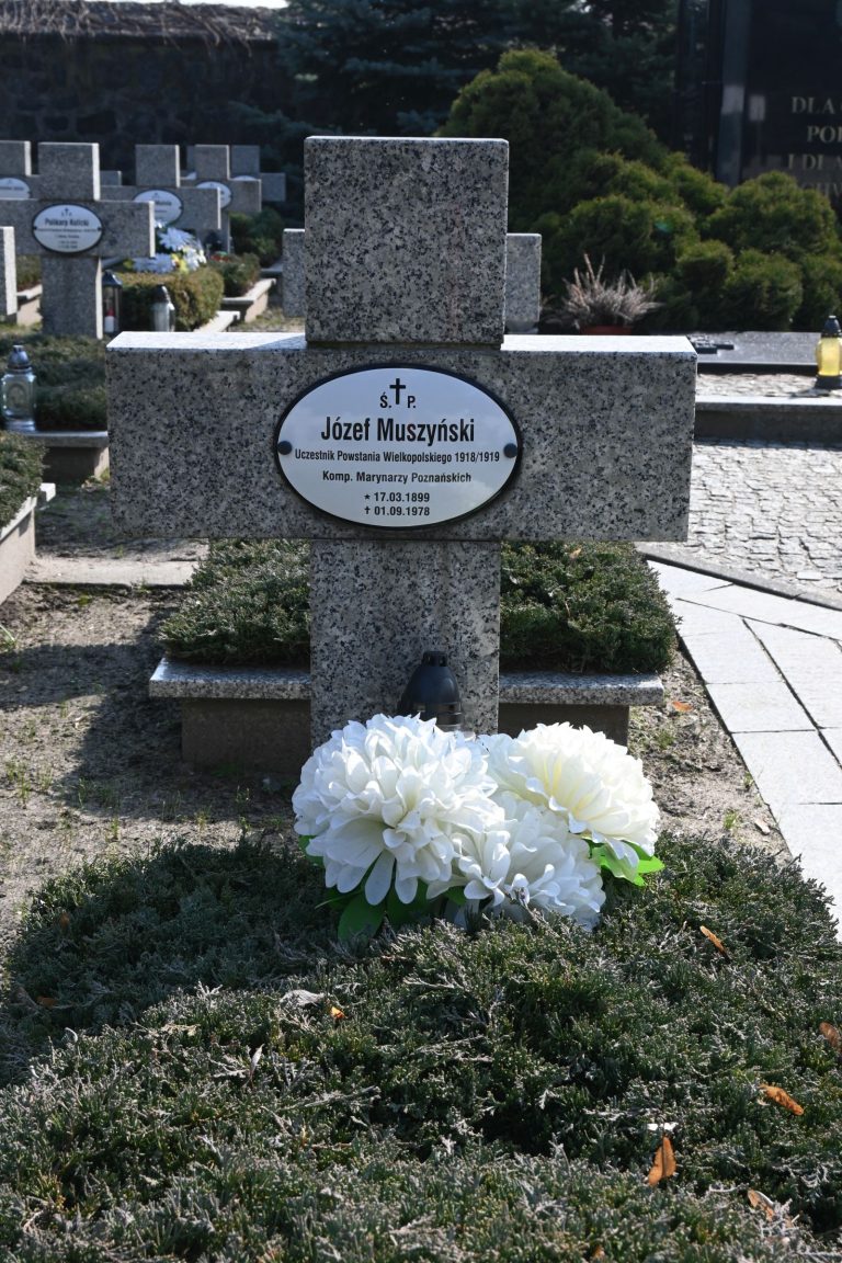 Kamienny krzyż nagrobny z owalną tabliczką „Józef Muszyński”; przed krzyżem bukiet dużych białych chryzantem na gęstym jałowcu, w tle inne groby.