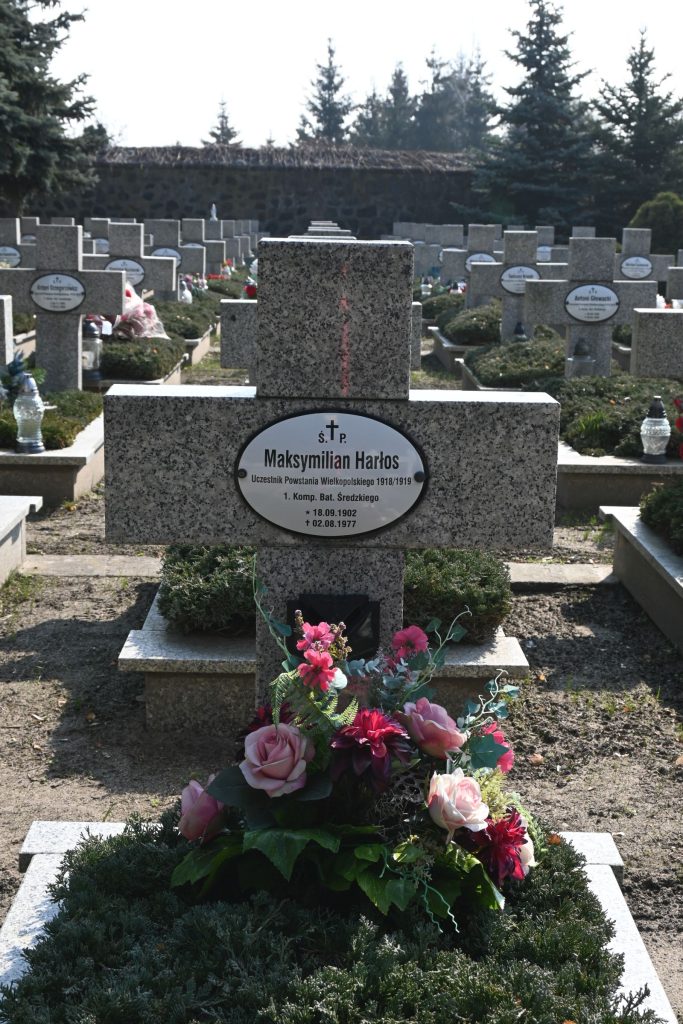 Kamienny krzyż nagrobny z owalną tabliczką „Maksymilian Harłos”; u podstawy bukiet różowych róż i zielonego jałowca, w tle rzędy nagrobków i drzewa.