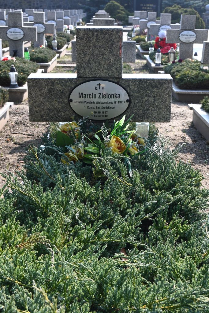 Kamienny krzyż z owalną tabliczką "Marcin Zielonka"; u podstawy bukiet żółtych róż i zielonych liści na gęstym jałowcu; za nim rzędy grobów.
