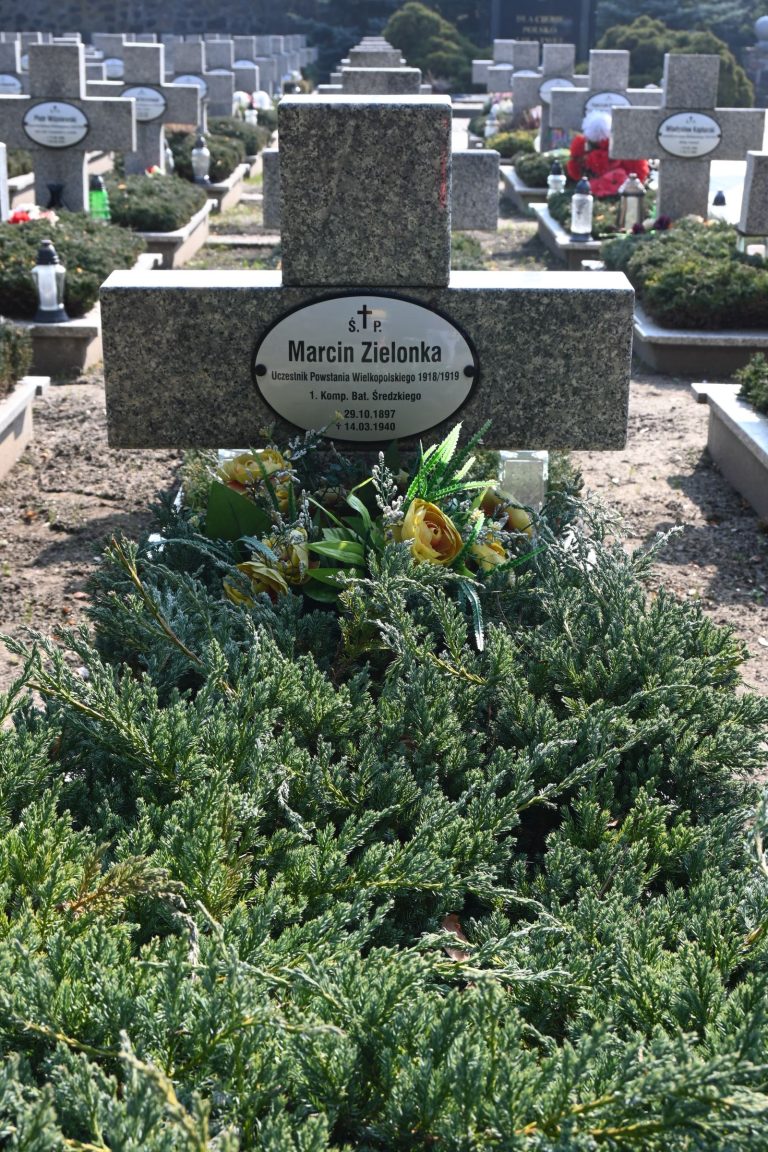 Kamienny krzyż z owalną tabliczką "Marcin Zielonka"; u podstawy bukiet żółtych róż i zielonych liści na gęstym jałowcu; za nim rzędy grobów.