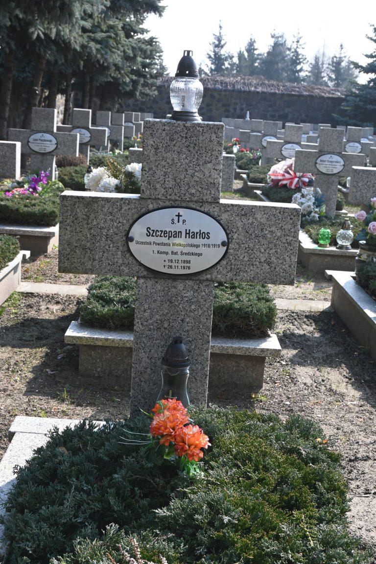 Nagrobek Szczepana Harlosa w Kwaterze Powstańców Wielkopolskich – betonowy krzyż z owalną tabliczką z imieniem; na szczycie krzyża lampion w metalowej obudowie, u podstawy pęk pomarańczowych kwiatów i zielona roślinność; w tle widoczne rzędy innych krzyży.